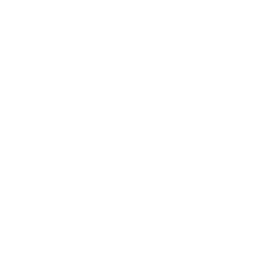 car(2)