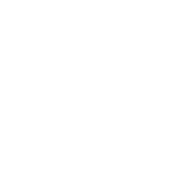 speedometer